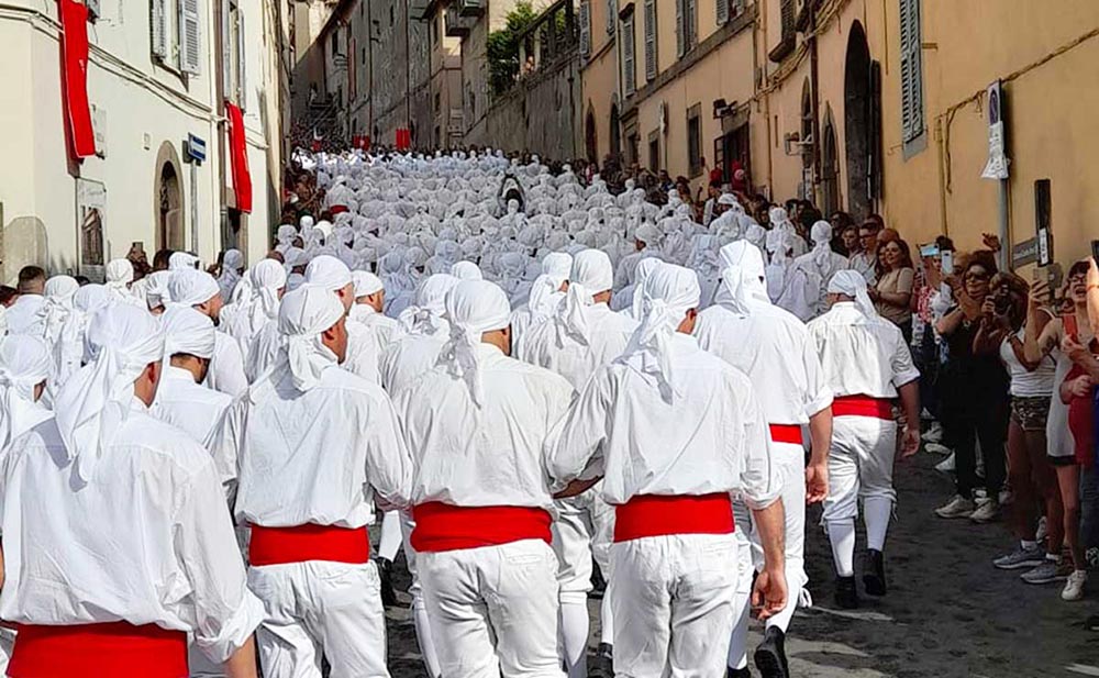 Una tradizione millenaria, il trasporto della macchina di Santa Rosa a Viterbo