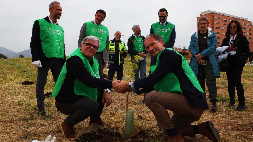 Nuovo verde per Cisterna di Latina, mille alberi al Parco Giovanni Paolo II